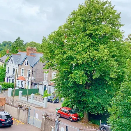 게스트하우스 Redclyffe 코크